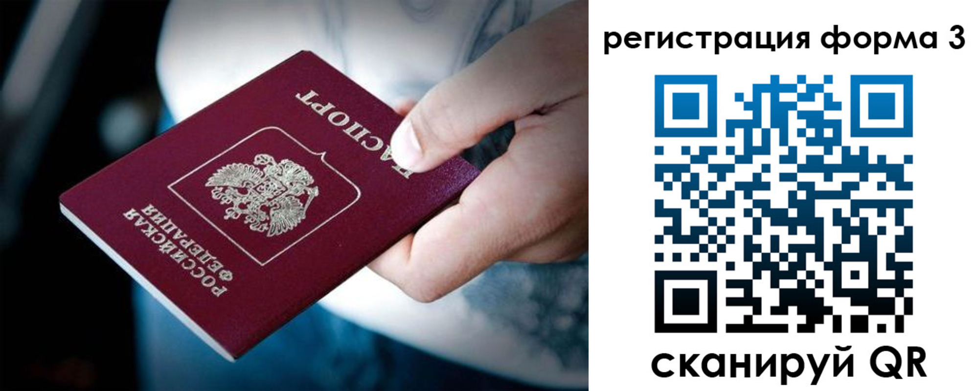 прописка для школы в Ермолино
